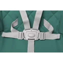 4Baby Master XXIII Green 6-in-1 Kinderstoel -BabyWereldNederland 4baby master xxiii green 6 in 1 kinderstoel 12