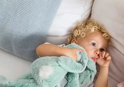 Happy Horse Rabbit Richie Mint 38 Cm No. 2 Knuffel 131690 -BabyWereldNederland happy horse rabbit richie mint 1