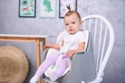 Lorelli Trick Pink Bears 3-in-1 Kinderstoel 1010049-2133 -BabyWereldNederland lorelli trick grey candy 3 in 1 kinderstoel 1010049 2137.6 1920x1920 2