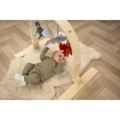 Tryco Houten Babygym TR-303011 14 Tryco Houten Babygym TR-303011 -BabyWereldNederland mamaloes tryco babygym 01 1
