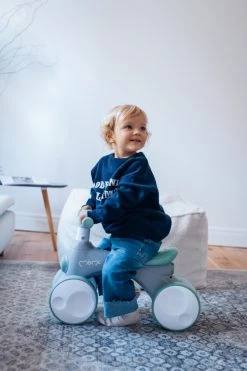 Momi Tobis Grey Ride-On Bubbles Loopfiets ROBI00043 24 Momi Tobis Grey Ride-On Bubbles Loopfiets ROBI00043 -BabyWereldNederland momi tobis loopfiets sfeer1 1