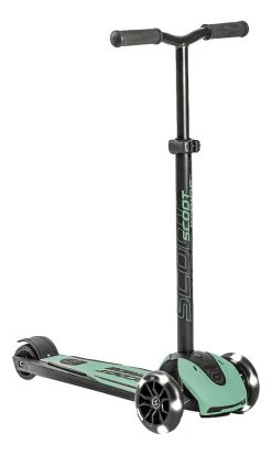 Scoot And Ride Forest Highwaykick 5 Step SR-96438