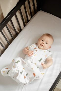 Blush & Blossom Dinosaurus 90 Cm Hydrofiel Slaapzak TR-BB443430 10 Blush & Blossom Dinosaurus 90 Cm Hydrofiel Slaapzak TR-BB443430 -BabyWereldNederland tr bb443423 blush blossom dinosaurus 70 cm 01 2